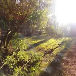 - Maison Individuelle - Au Calme - Proche Foret * La Palmyre