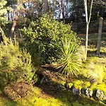 - Maison Individuelle - Au Calme - Proche Foret Villa
