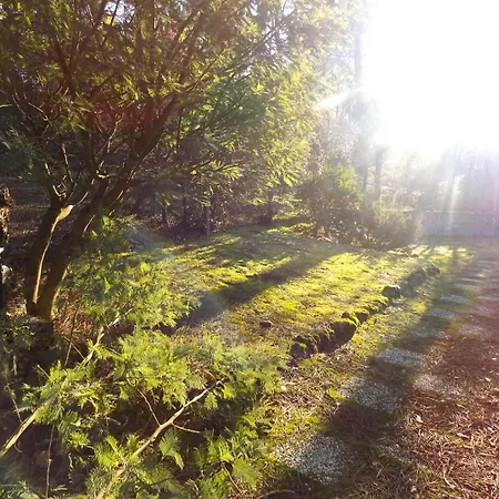 - Maison Individuelle - Au Calme - Proche Foret * ラ・パルミール