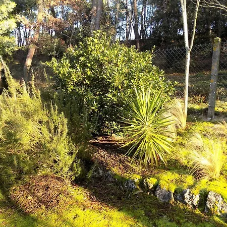 - Maison Individuelle - Au Calme - Proche Foret Villa