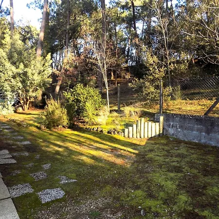 - Maison Individuelle - Au Calme - Proche Foret Villa *