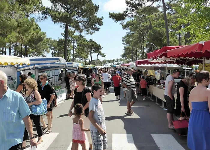 - Maison Individuelle - Au Calme - Proche Foret Villa