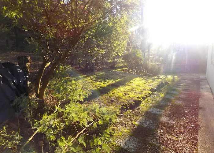 - Maison Individuelle - Au Calme - Proche Foret * La Palmyre