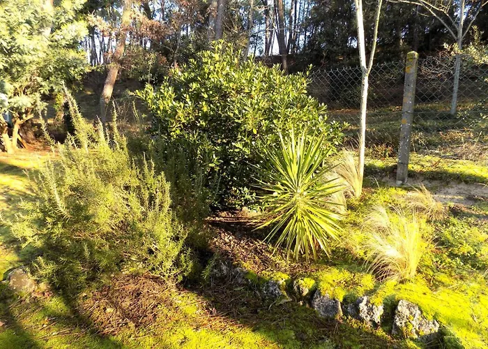 - Maison Individuelle - Au Calme - Proche Foret Villa